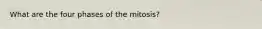 What are the four phases of the mitosis?