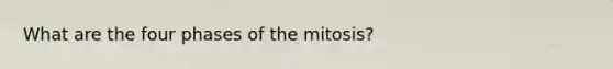 What are the four phases of the mitosis?