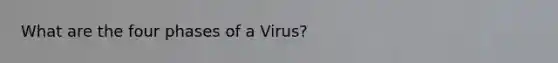 What are the four phases of a Virus?