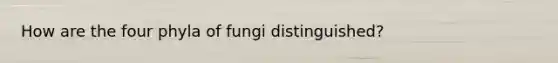 How are the four phyla of fungi distinguished?