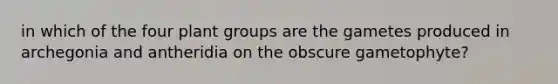 in which of the four plant groups are the gametes produced in archegonia and antheridia on the obscure gametophyte?