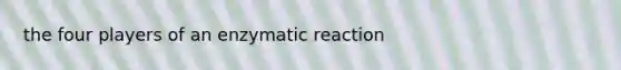 the four players of an enzymatic reaction