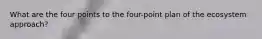 What are the four points to the four-point plan of the ecosystem approach?