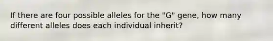 If there are four possible alleles for the "G" gene, how many different alleles does each individual inherit?