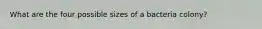 What are the four possible sizes of a bacteria colony?