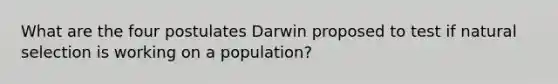 What are the four postulates Darwin proposed to test if natural selection is working on a population?