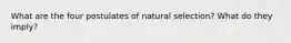 What are the four postulates of natural selection? What do they imply?