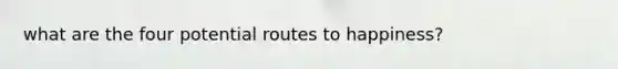 what are the four potential routes to happiness?