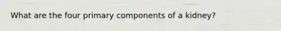 What are the four primary components of a kidney?