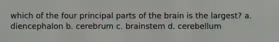 which of the four principal parts of the brain is the largest? a. diencephalon b. cerebrum c. brainstem d. cerebellum