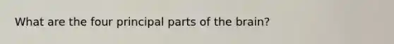 What are the four principal parts of the brain?