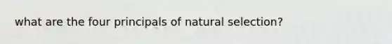 what are the four principals of natural selection?