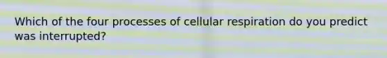 Which of the four processes of cellular respiration do you predict was interrupted?