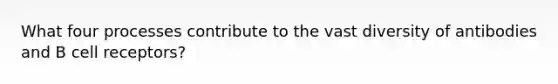 What four processes contribute to the vast diversity of antibodies and B cell receptors?