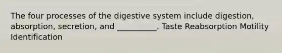 The four processes of the digestive system include digestion, absorption, secretion, and __________. Taste Reabsorption Motility Identification