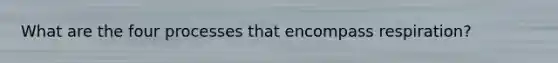 What are the four processes that encompass respiration?