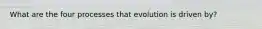 What are the four processes that evolution is driven by?