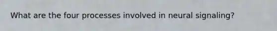 What are the four processes involved in neural signaling?