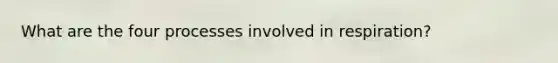 What are the four processes involved in respiration?