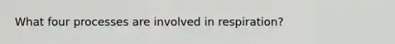 What four processes are involved in respiration?