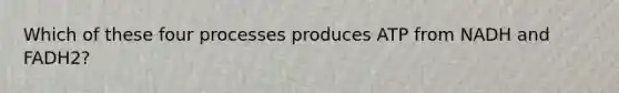 Which of these four processes produces ATP from NADH and FADH2?