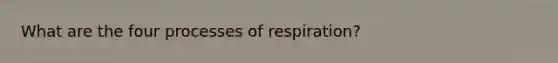 What are the four processes of respiration?