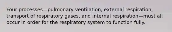 Four processes—pulmonary ventilation, external respiration, transport of respiratory gases, and internal respiration—must all occur in order for the respiratory system to function fully.