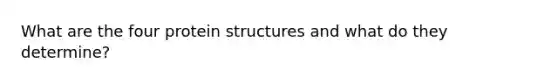 What are the four protein structures and what do they determine?