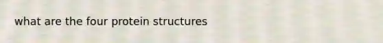 what are the four protein structures