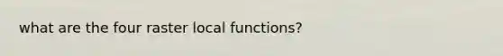 what are the four raster local functions?