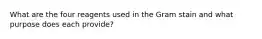 What are the four reagents used in the Gram stain and what purpose does each provide?