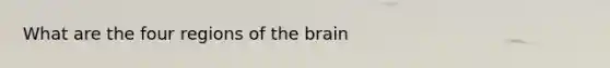 What are the four regions of the brain