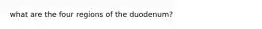 what are the four regions of the duodenum?