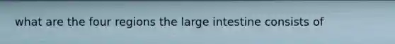 what are the four regions the large intestine consists of