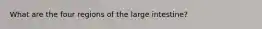 What are the four regions of the large intestine?