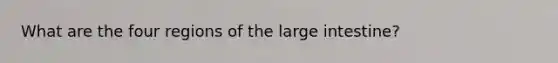 What are the four regions of the <a href='https://www.questionai.com/knowledge/kGQjby07OK-large-intestine' class='anchor-knowledge'>large intestine</a>?