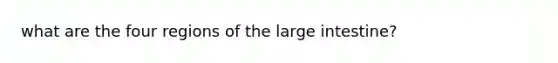 what are the four regions of the large intestine?