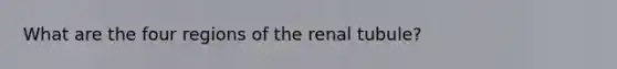 What are the four regions of the renal tubule?