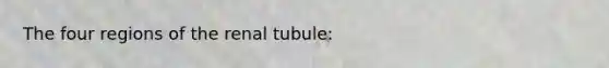 The four regions of the renal tubule: