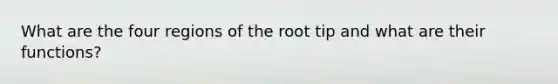 What are the four regions of the root tip and what are their functions?