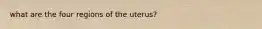 what are the four regions of the uterus?