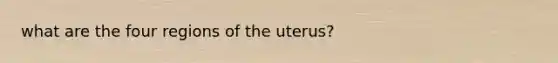 what are the four regions of the uterus?