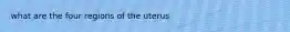 what are the four regions of the uterus