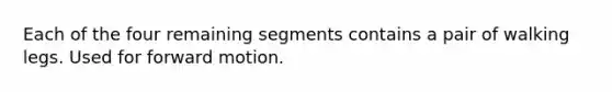 Each of the four remaining segments contains a pair of walking legs. Used for forward motion.