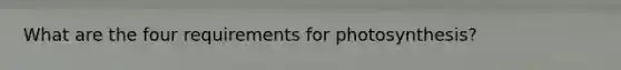 What are the four requirements for photosynthesis?