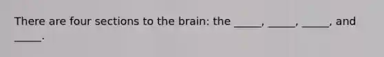 There are four sections to the brain: the _____, _____, _____, and _____.