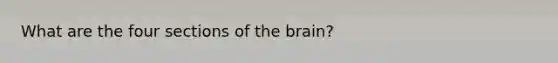 What are the four sections of the brain?