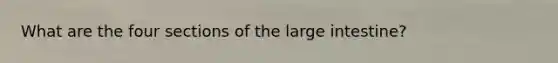 What are the four sections of the large intestine?