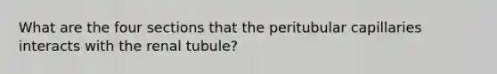 What are the four sections that the peritubular capillaries interacts with the renal tubule?