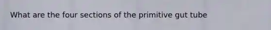 What are the four sections of the primitive gut tube